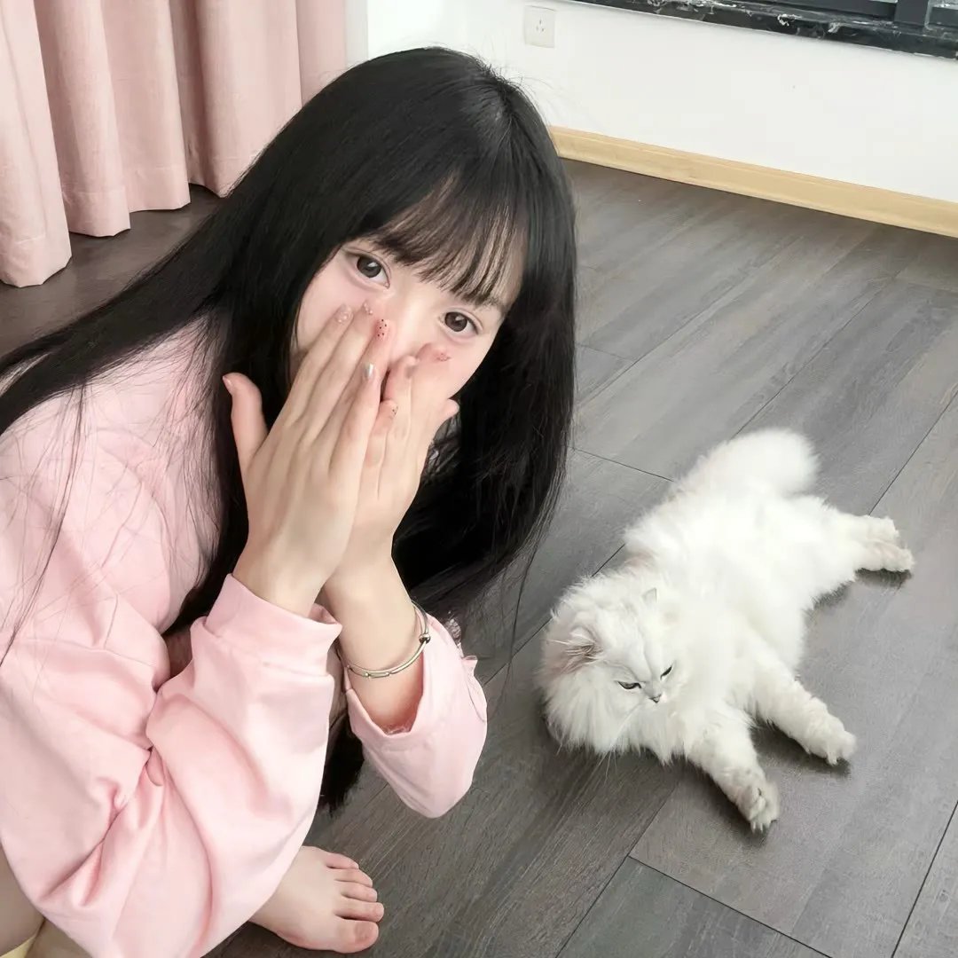 伊莎贝尔